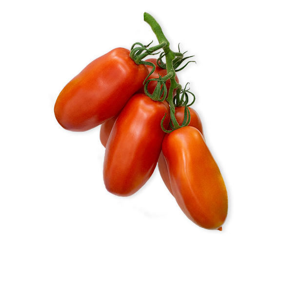 SanMarzano-wimpeterskwekerijen-Ajara